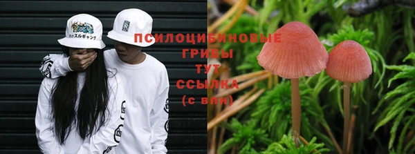 марки nbome Краснослободск