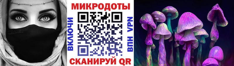 продажа наркотиков  Назрань  Галлюциногенные грибы Cubensis 