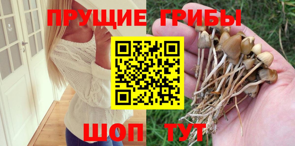 Галлюциногенные грибы Psilocybe Назрань