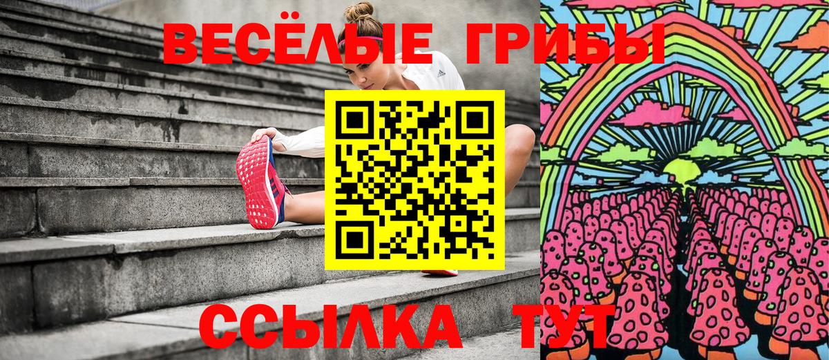 Псилоцибиновые грибы Cubensis Назрань
