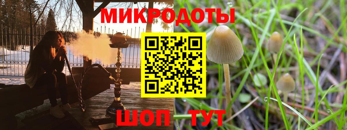 Псилоцибиновые грибы мухоморы  Вход с VPN  Назрань 
